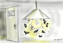 Moir’s View … Alan Moir 20/10/2020 coalition liberals nationals