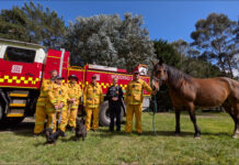 Make pets part of your fire plan