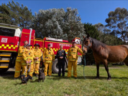 Make pets part of your fire plan