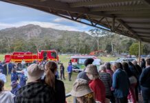 Mission to get an entire town fire ready halls gap cfa