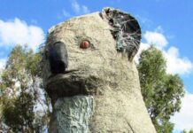 October 10, 2009: The Giant Koala at Dadswells Bridge in Victoria is renamed ‘Sam’ in honour of bushfire victim Sam the koala sam the koala monument dadwells bridge