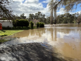 SES Gisborne Unit calls for caution in wake of flood rescue surge ses floods