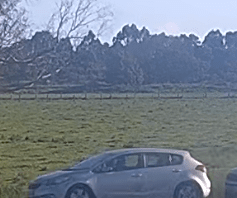 Pedestrian struck by car