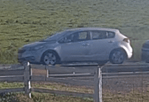 Pedestrian struck by car