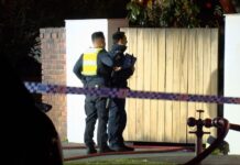 Detectives investigate Brighton car fires