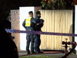 Detectives investigate Brighton car fires