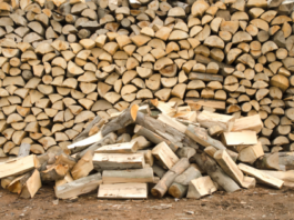 Murrindindi Council’s Koriella free firewood site closes end of October