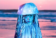 Jellyfish