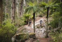 Warburton Bike Park to host AusCycling Mountain Bike Marathon National Championships