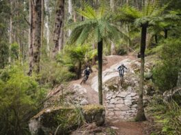 Warburton Bike Park to host AusCycling Mountain Bike Marathon National Championships