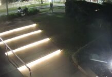 Police investigate St Kilda assault