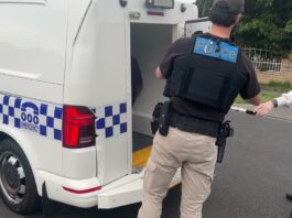 Teenagers charged over bag snatches after allegedly targeting lone women