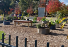 Mooroolbark residents needed for workshops