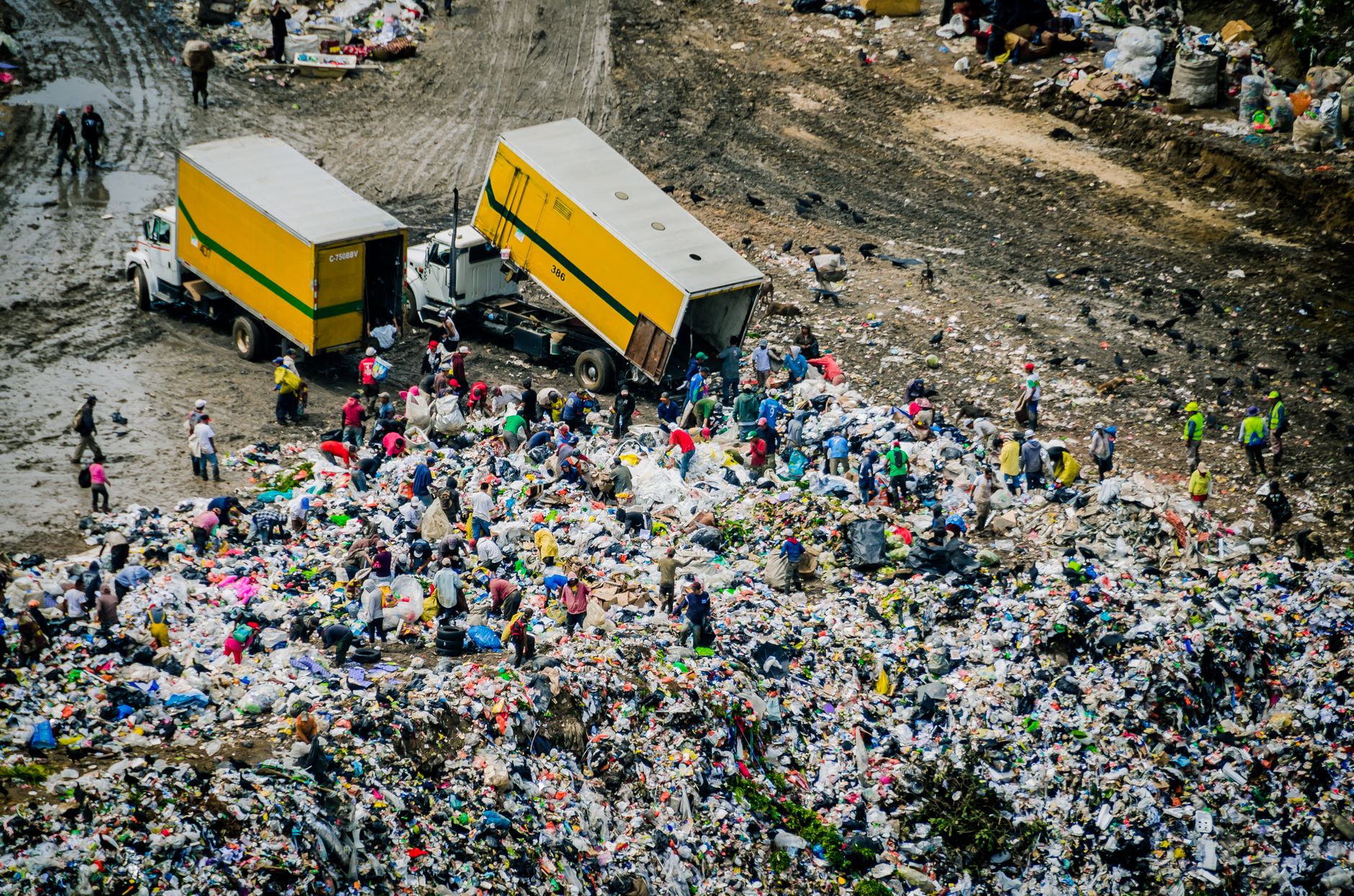 people working at landfill