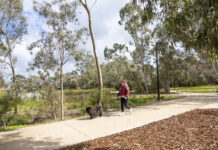 Planning review sets direction for Whittlesea Council’s future