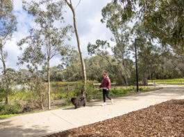 Planning review sets direction for Whittlesea Council’s future