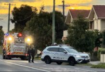 Relative of Kazem Hamad gang figure shot dead in Reservoir