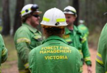 Seasonal firefighters boost bushfire response capability ffmv seasonal firefighters