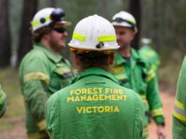Seasonal firefighters boost bushfire response capability ffmv seasonal firefighters