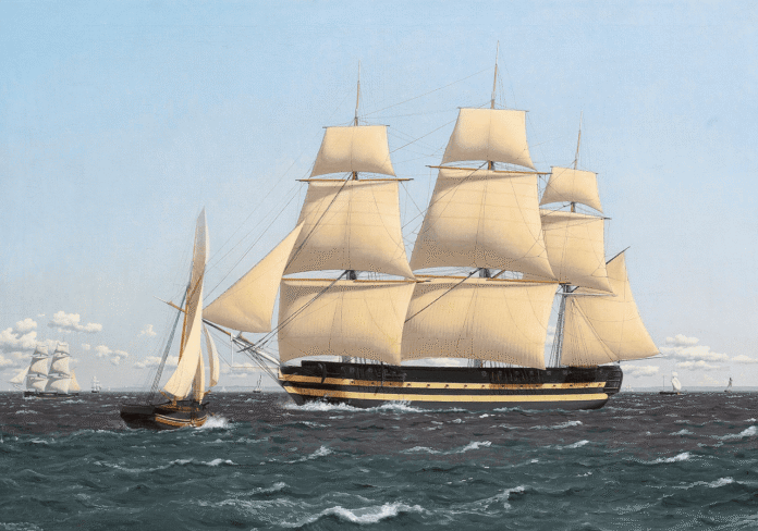 skjold ship