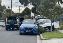 Detectives investigate suspected shooting