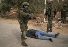 Israeli terrorists torch cars and trees in West Bank villages