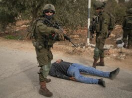 Israeli terrorists torch cars and trees in West Bank villages