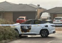 Cars torched in Taylors Hill