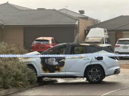 Cars torched in Taylors Hill