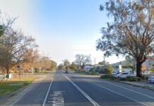 Search for white truck after motorcyclist dies in suspected Yarck hit-and-run