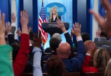 Lettuce outlasts White House press secretary Katie Zacharia Katie Zacharia